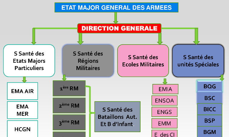 Cartographie sanitaire des armées guinéennes